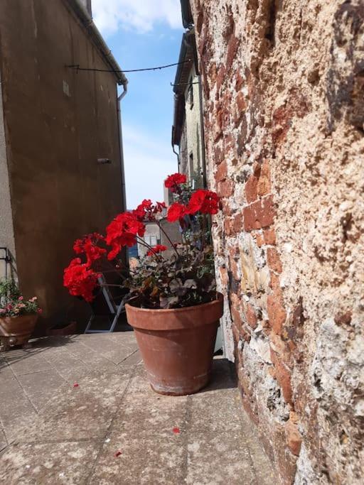 Casa Il Girasole Villa Boccheggiano Luaran gambar