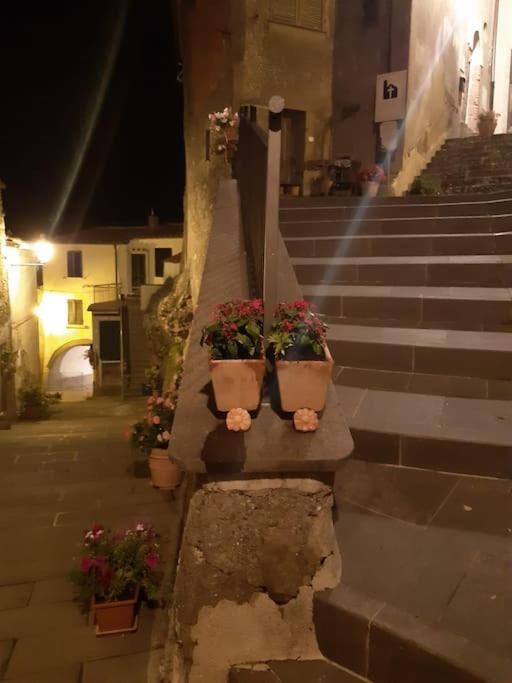 Casa Il Girasole Villa Boccheggiano Luaran gambar