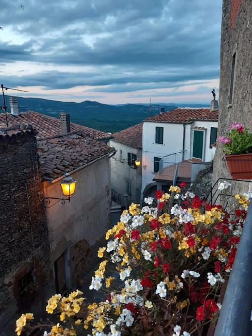 Casa Il Girasole Villa Boccheggiano Luaran gambar