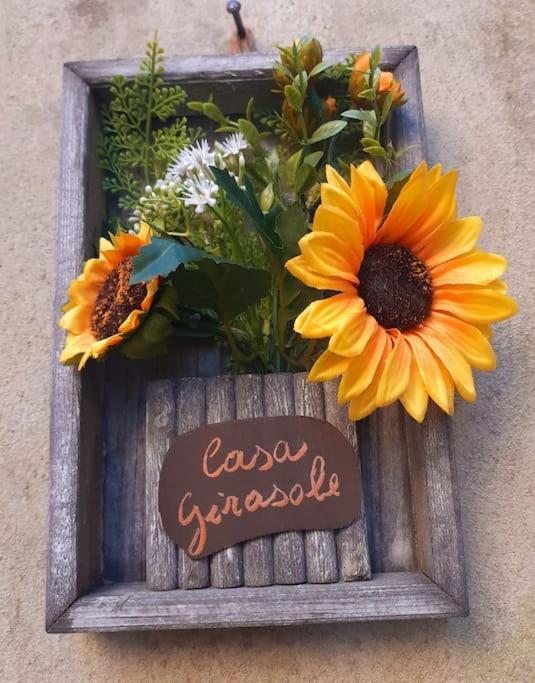 Casa Il Girasole Villa Boccheggiano Luaran gambar