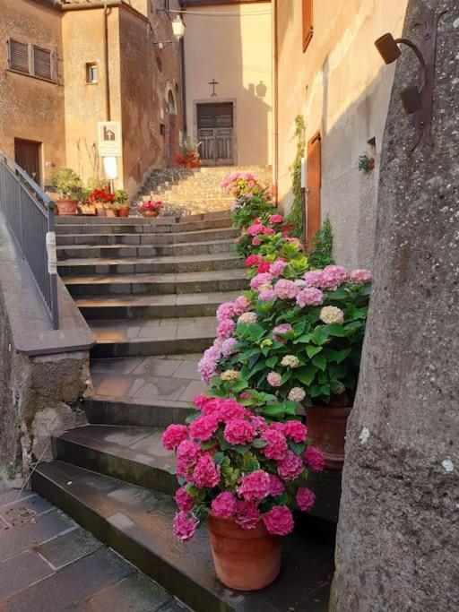 Casa Il Girasole Villa Boccheggiano Luaran gambar