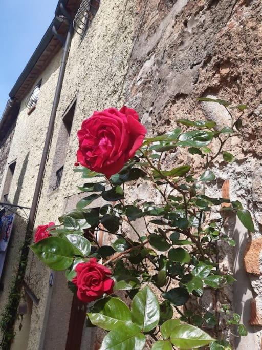 Casa Il Girasole Villa Boccheggiano Luaran gambar
